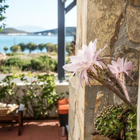 Maistrali Appart hôtel 2*